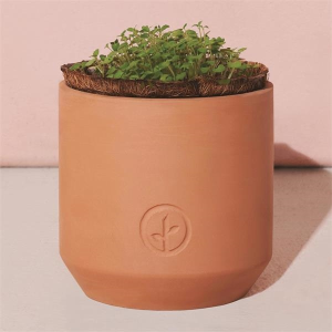 Modern Sprout® Tiny Terracotta Grow Kit Thank You Daisies